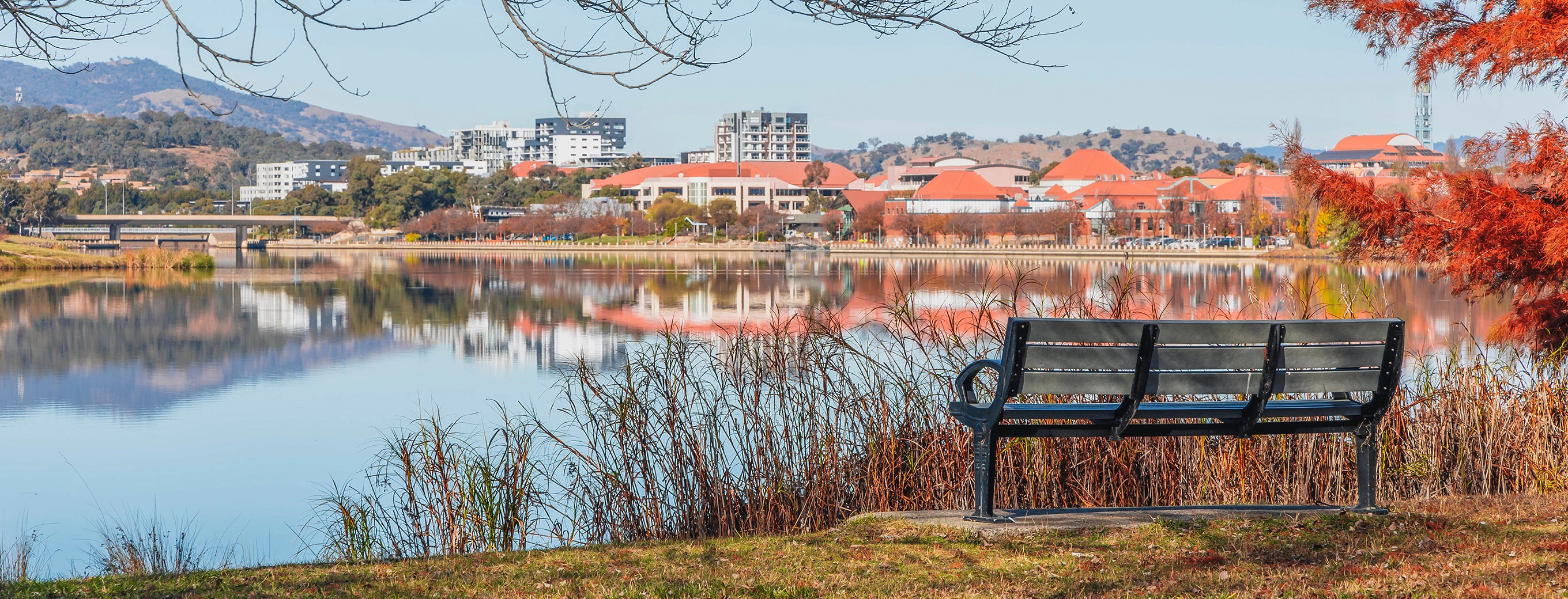 Image of Southern Canberra in Autumn with chair and lake