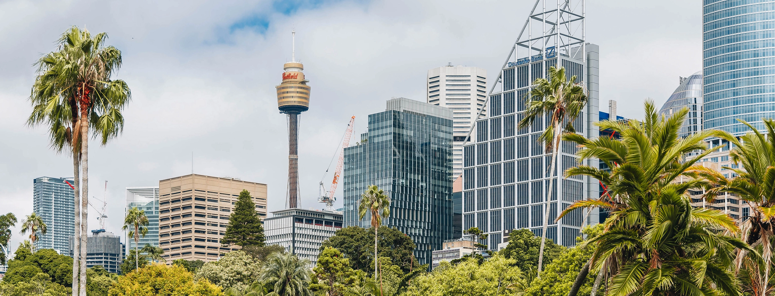 Navigating NSW Strata Reforms (Banner)