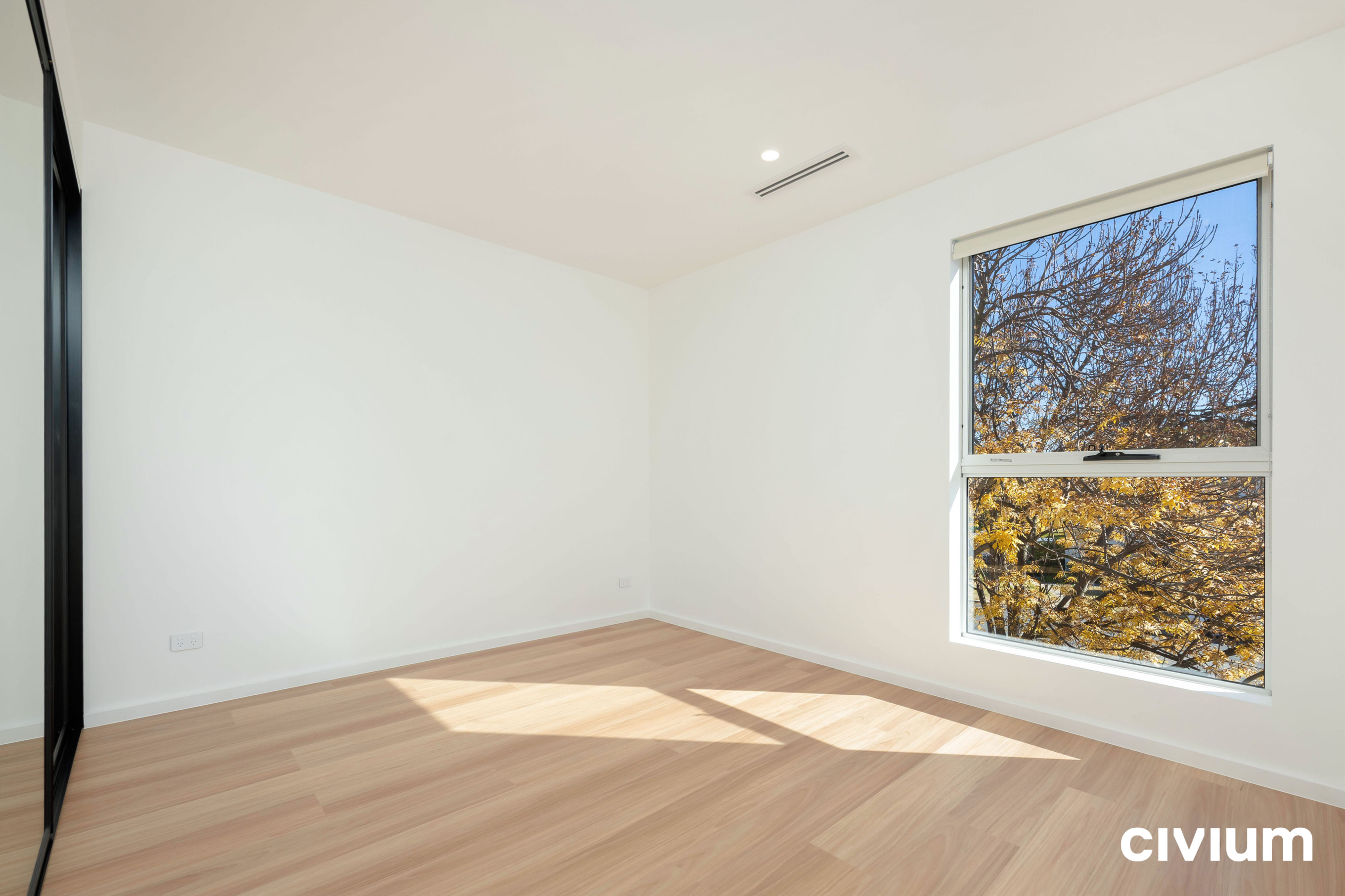 43 Bernacchi Street, MAWSON ACT 2607